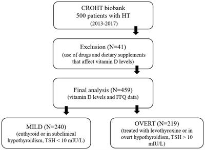 Associations between vitamin D levels and dietary patterns in patients with Hashimoto’s thyroiditis